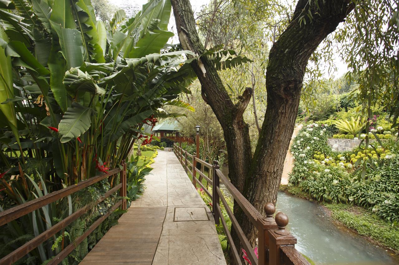 Quinta Sauz Hotell Tacámbaro de Codallos Exteriör bild